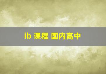 ib 课程 国内高中